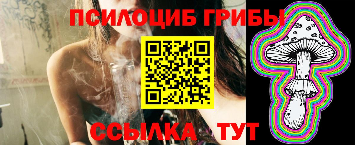Псилоцибиновые грибы Psilocybe  Псилоцибиновые грибы ЛСД  Ставрополь  Вход с VPN 