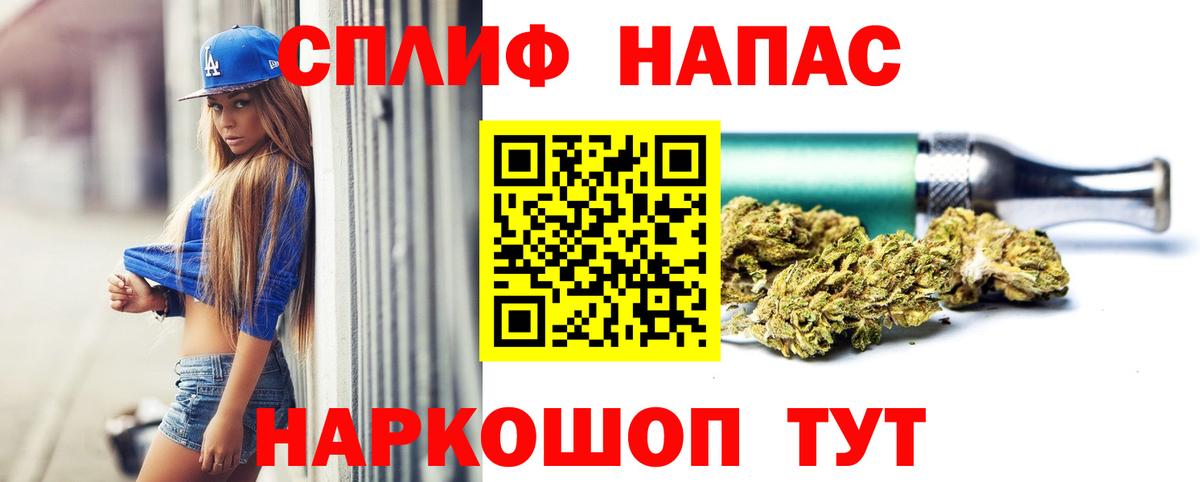 Каннабис гибрид Ставрополь